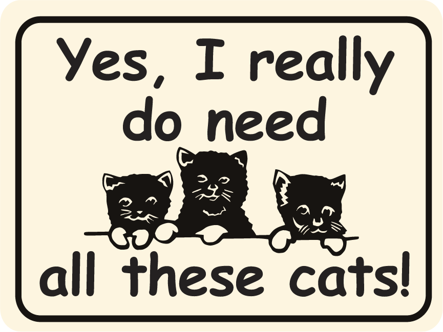 Do you need some. Cat sign. Стильные постеры с кошками. Плакат с котом Yes you can. Follow the Cat табличка.