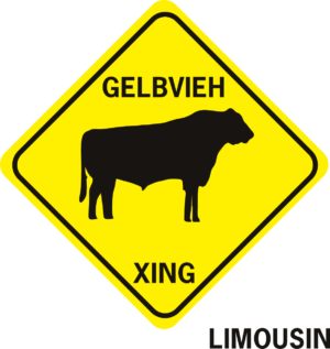 COW GELBVIEH